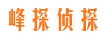 法库市私家侦探